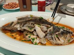 -广信传说