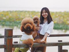 -七的湖·晚芳亭·阳澄湖农家菜·大闸蟹(莲花岛店)