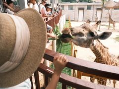 -西霞口神雕山野生动物世界