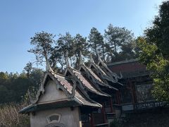 -报恩禅寺
