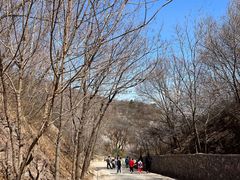 -北京西山国家森林公园