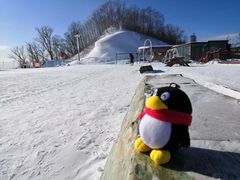 -长白山万达国际滑雪场