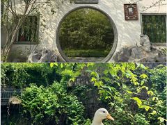 -莫干山风景区