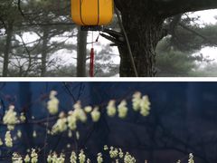 -天柱山风景区