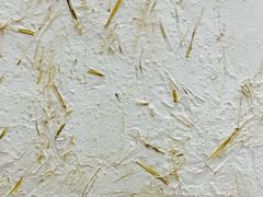 -小清花粥铺(青年南街店)