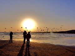 -老虎石海上公园