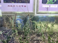 -上海昆虫博物馆