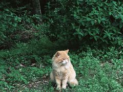 -宝界山林公园