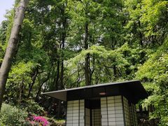 -中国茶叶博物馆(双峰馆区)