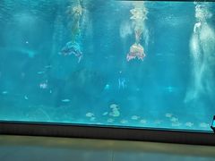 -福州罗源湾海洋世界旅游区