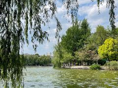 -翠湖公园