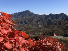 -水峪民俗村