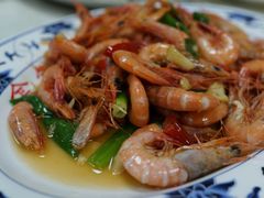 -金包里鸭肉ㄜˋ