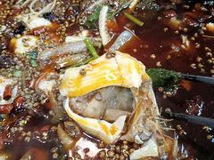 -烧哥美蛙肥肠鱼火锅·十五年社区店