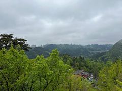 -黔灵山公园
