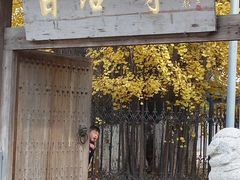 -秦岭风景区