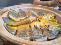 -1937青岛老味道·海肠捞饭·青岛菜(大鲍岛栈桥店)