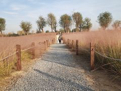 -汉长安城未央宫国家考古遗址公园