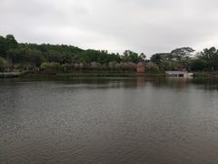 -大屏嶂森林公园