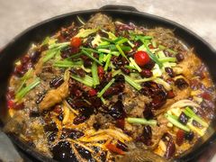 -老板恋上鱼(恒隆广场店)