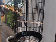 -阜昌典当行(阜成门店)