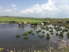 -塞罕坝国家级自然保护区