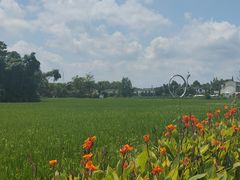 -桤木河湿地公园