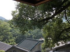 -龙井村