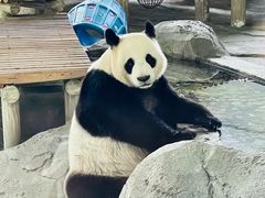 -苏州太湖国家湿地公园