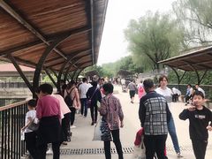 -石家庄市动物园