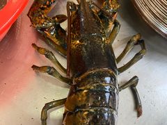 -港畔赶海蒸汽海鲜烧烤自助(仙螺岛店)