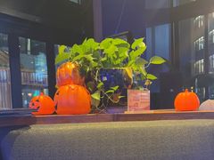 -blue frog蓝蛙(长泰广场店)