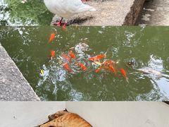 -西园寺