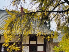 -金堂县云顶石城风景区