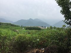 -秦岭风景区