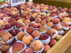 -全而廉(靖宇中路店)