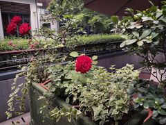 -芙蓉堂(武汉天地店)