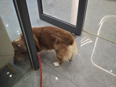-贝利宠物医院·骨科·眼科·肿瘤转诊中心(南坪诊疗中心)