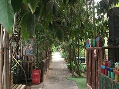 -呀路古热带植物园