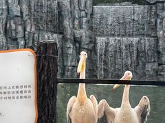 -贵州森林野生动物园