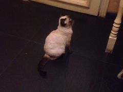 -吱咖啡西式简餐