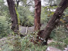 -北京凤凰岭