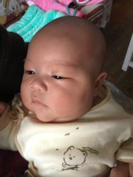 -龙文宝贝上门婴儿理发满月剃胎毛(黄浦店)