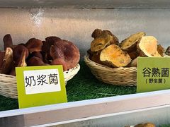 -菌海森林·非遗野生菌火锅(西山区滇池路摩根道店)