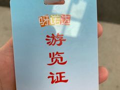 -呀诺达热带雨林