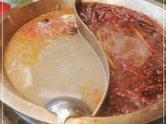 -小龙坎火锅(春熙太古里店)