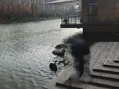 -上海怡沁园度假酒店