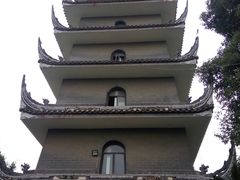 -生宇山珍野生菌汤锅•始于1999(双流古塔店)