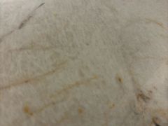 -马尔龙新疆饭店·清真(瑞景店)