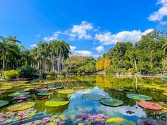 -中国科学院西双版纳热带植物园
